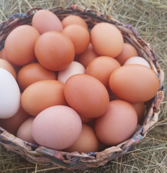 Яйца куриные, 1 десяток